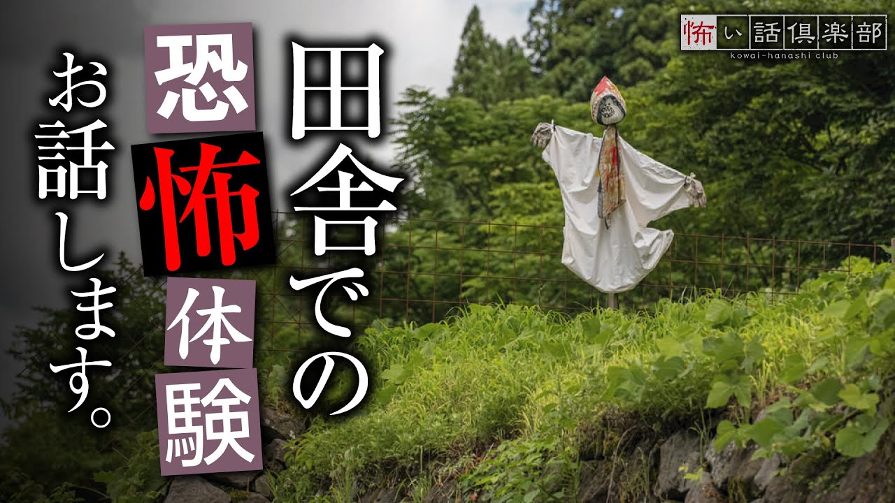 【怖い話】田舎の怖い話【怪談朗読】「養命酒」「退院した父」「黒い毛糸玉」