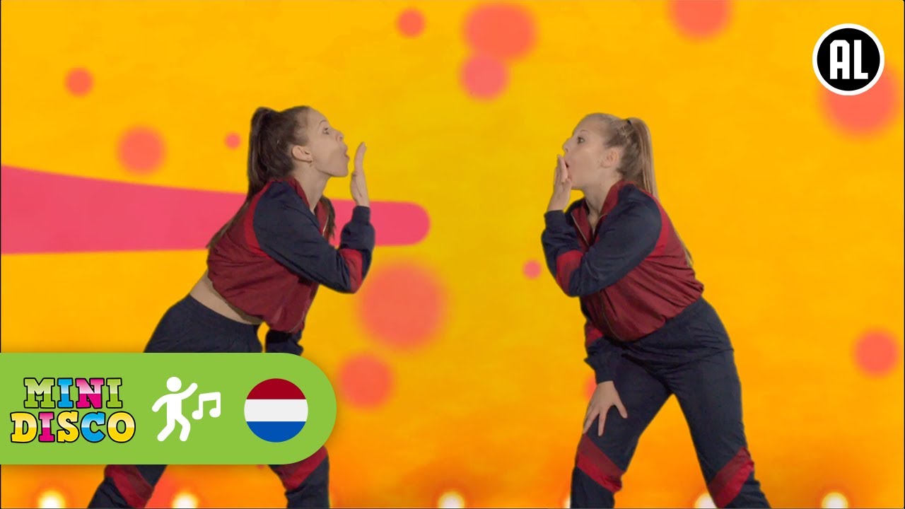 INDIANENDANS | Leer de Dans | Minidisco
