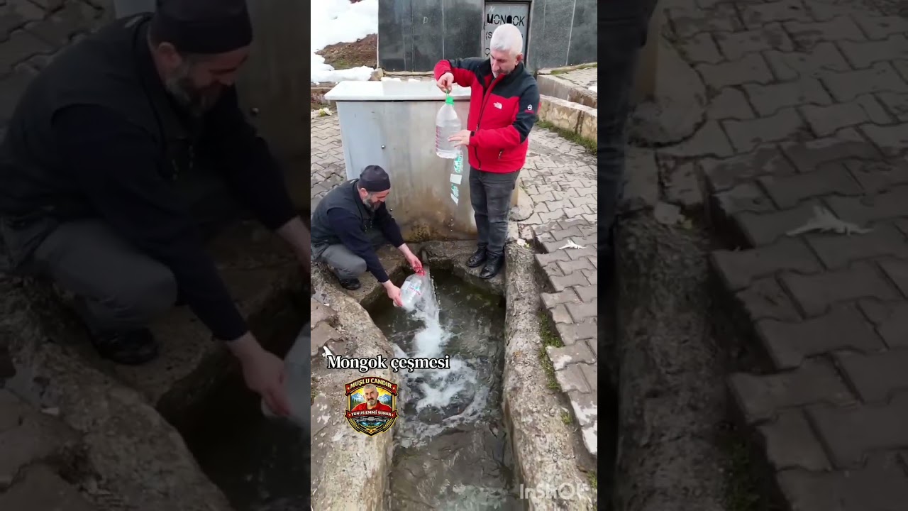 Muşlu candır 