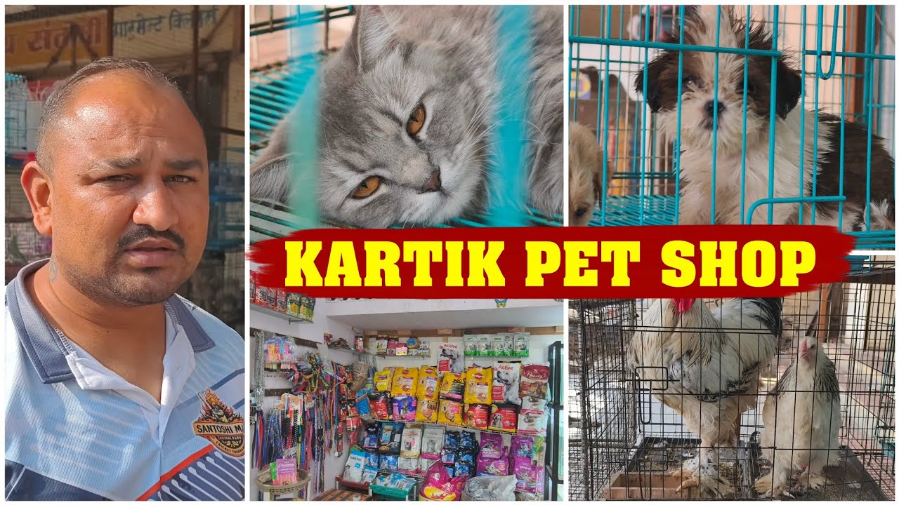 Malegaon Kartik Pet Shop & All Doge House : Malegaon Me Cat Lover Ke Liye New Shop 