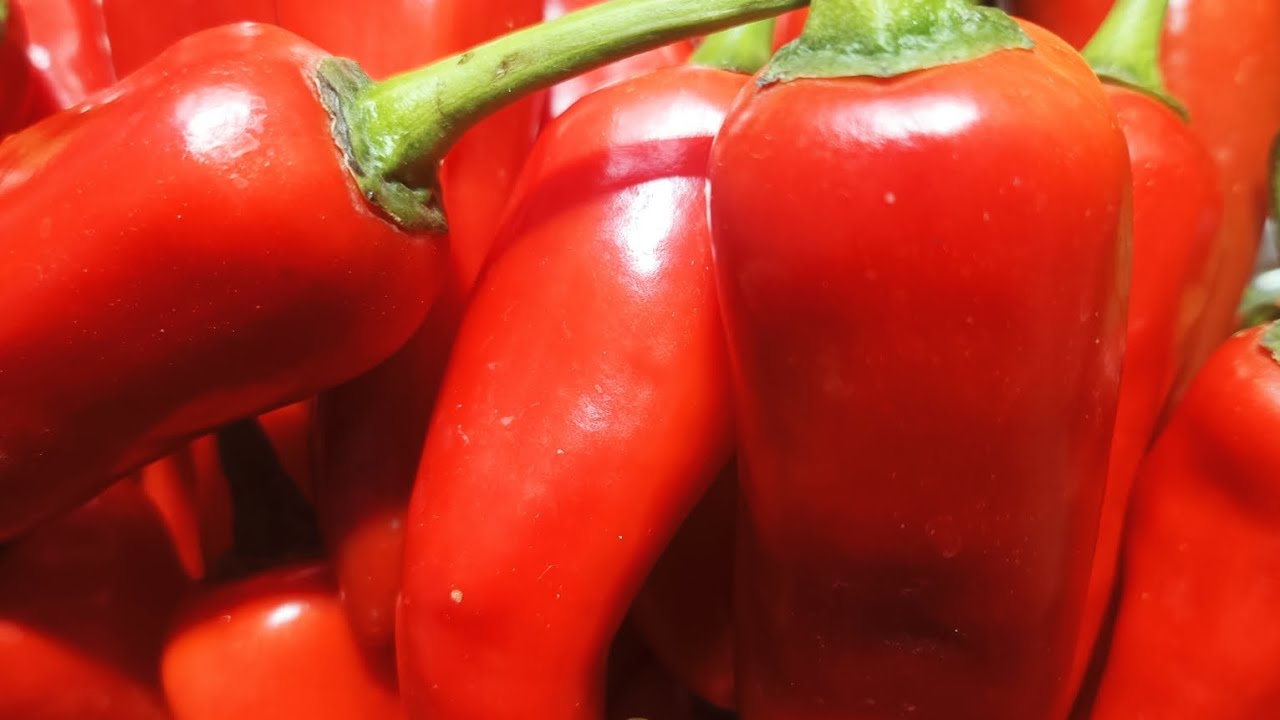 लाल मिर्च का अचार सिंपल रेसिपी 