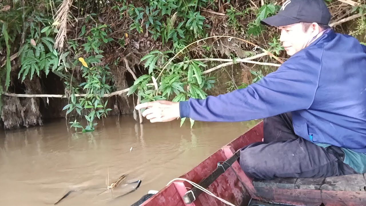 Mendebarkan!! Dapat Tarikan Udang Galah Monster Dihulu Sungai, Mancing Udang Galah Terbaru 