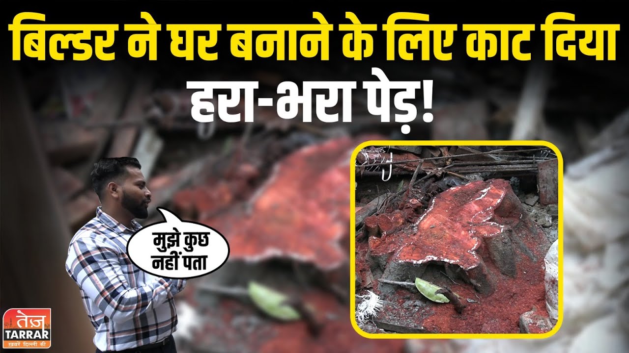 दिल्ली के विकासपुरी में बिल्डर ने घर बनाने के लिए काट दिया हरा-भरा पेड़! | Illegal Tree Cutting