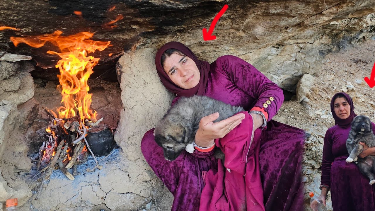 Nomadic Woman Finds a Hungry Puppy in the Mountains and Saves Its Life”