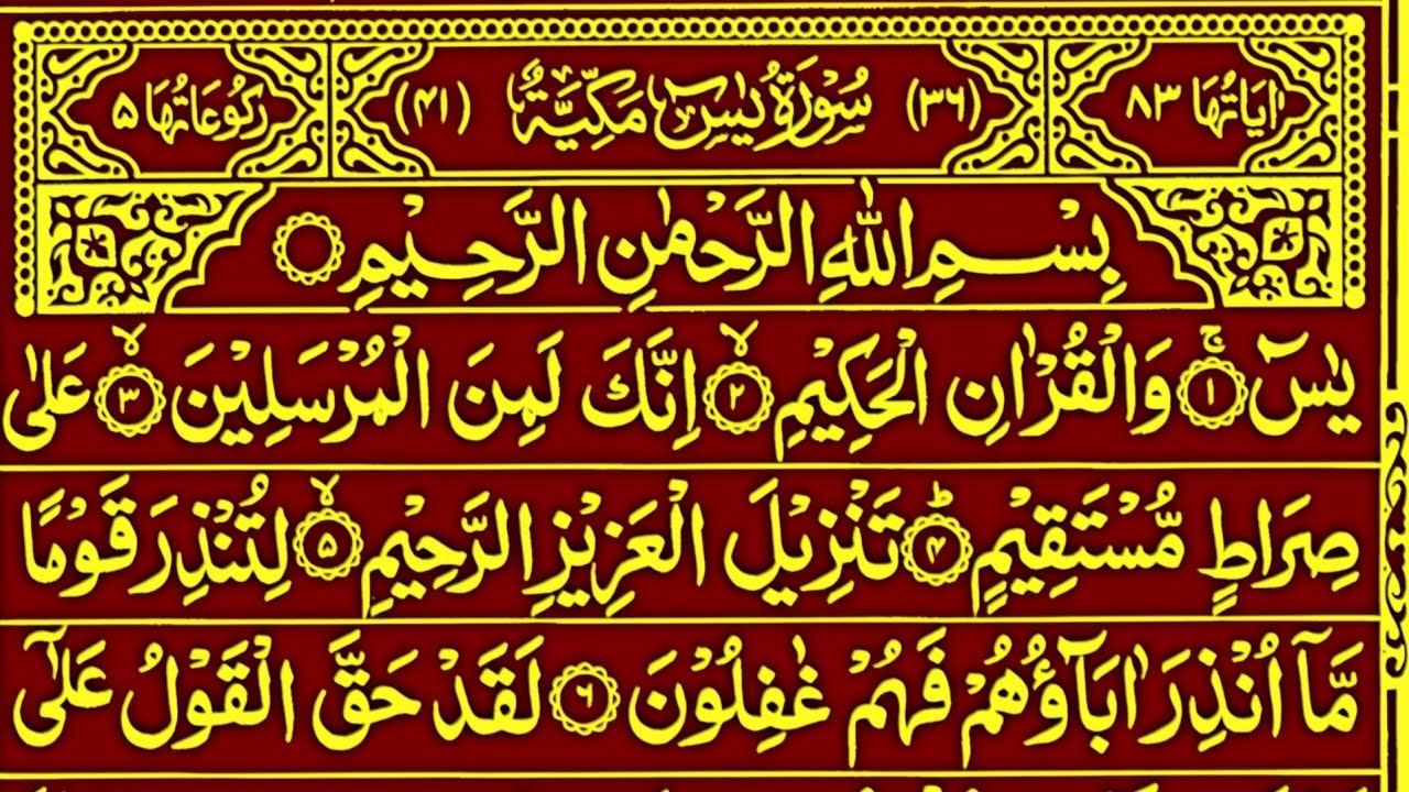 Surah Yaseen Surah Ar Rahman | Best Quran Recitation | Surah Yasin Tilawat | Episode_026