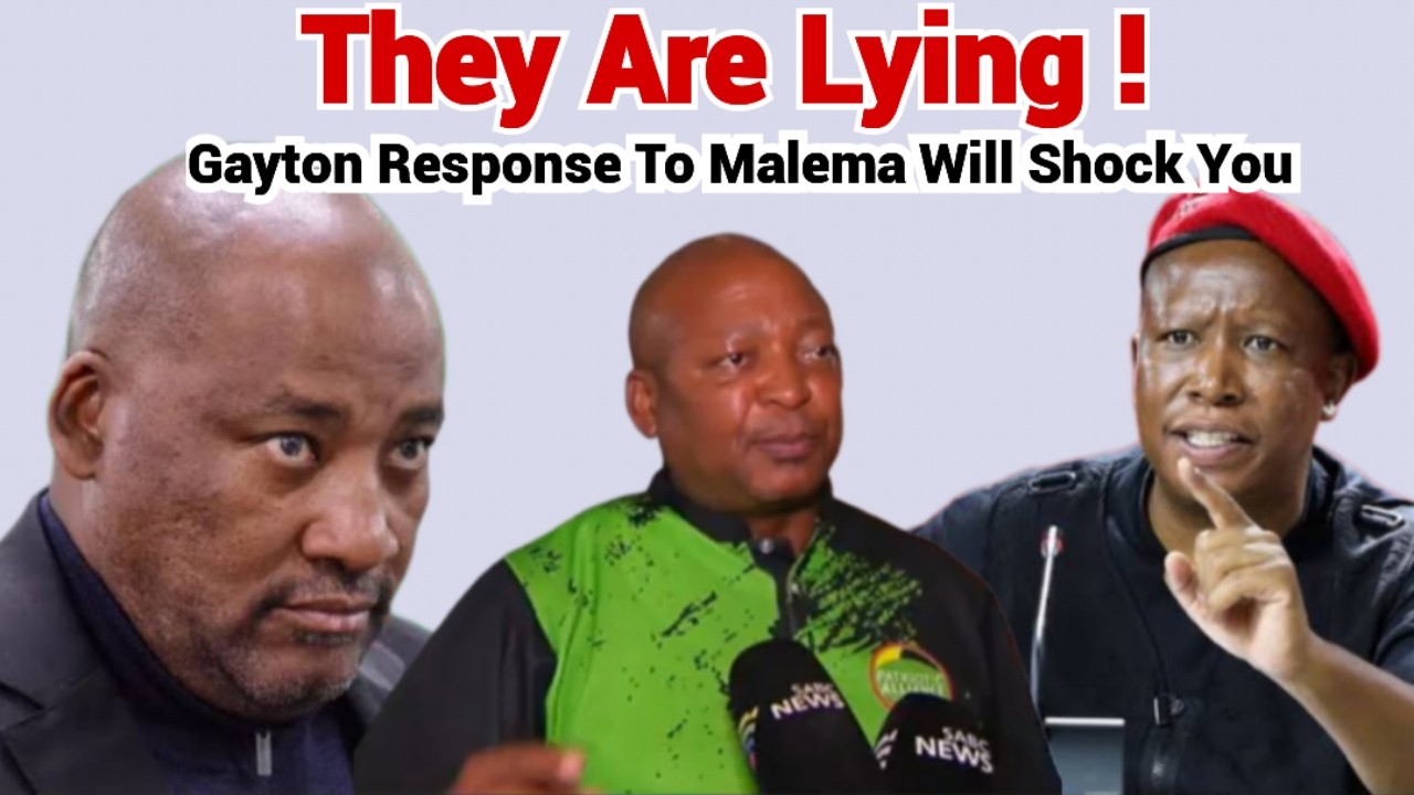 Julius Malema Hit Hard on Those Lying To South Africa - Gayton Response To Malema Will Shock You.