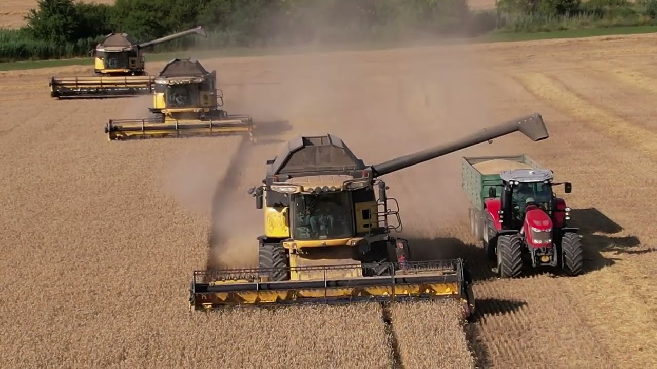 Harvest 2022 | 5x harvesters in one field |wheat|🌾 (služby Lunda)🇨🇿