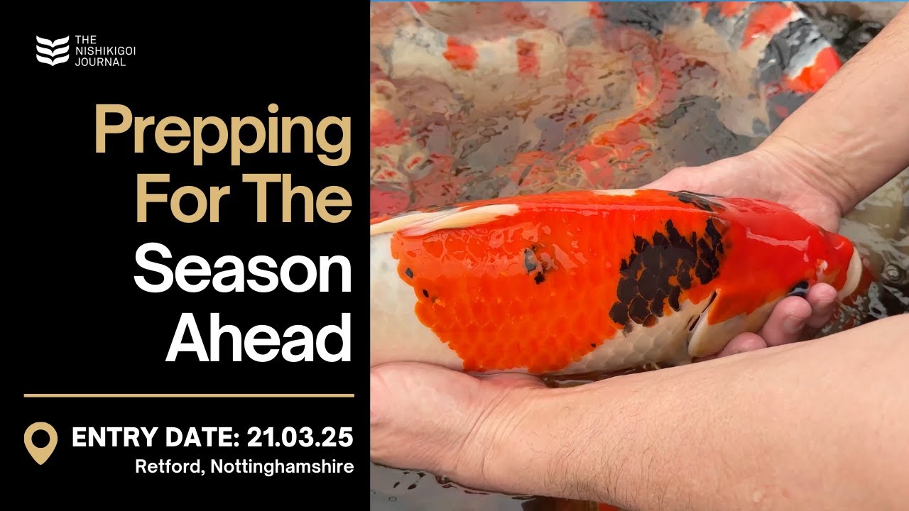 Returning Home to a Full Fish House | T.N.J. | EP #086