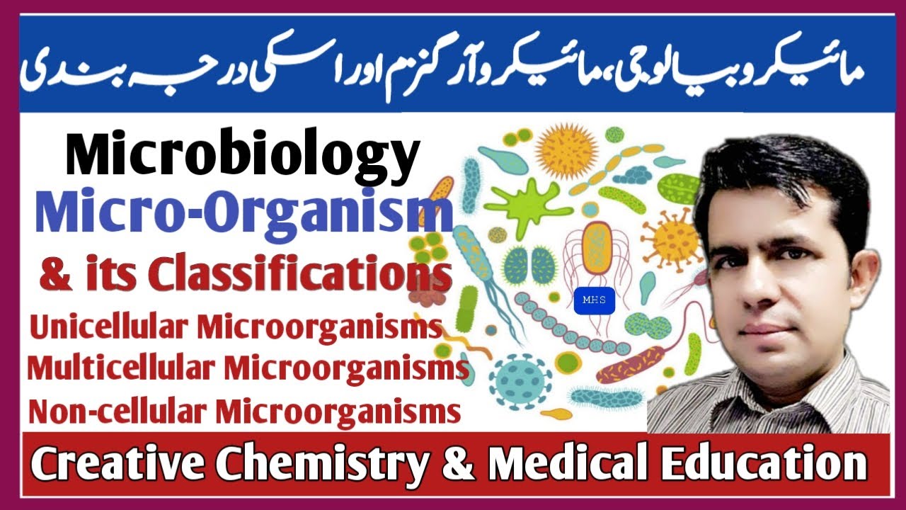 Microorganisms And Its Classifications | Microbiology | Microbe |Bacteria |Virus |Fungi |Protozoa