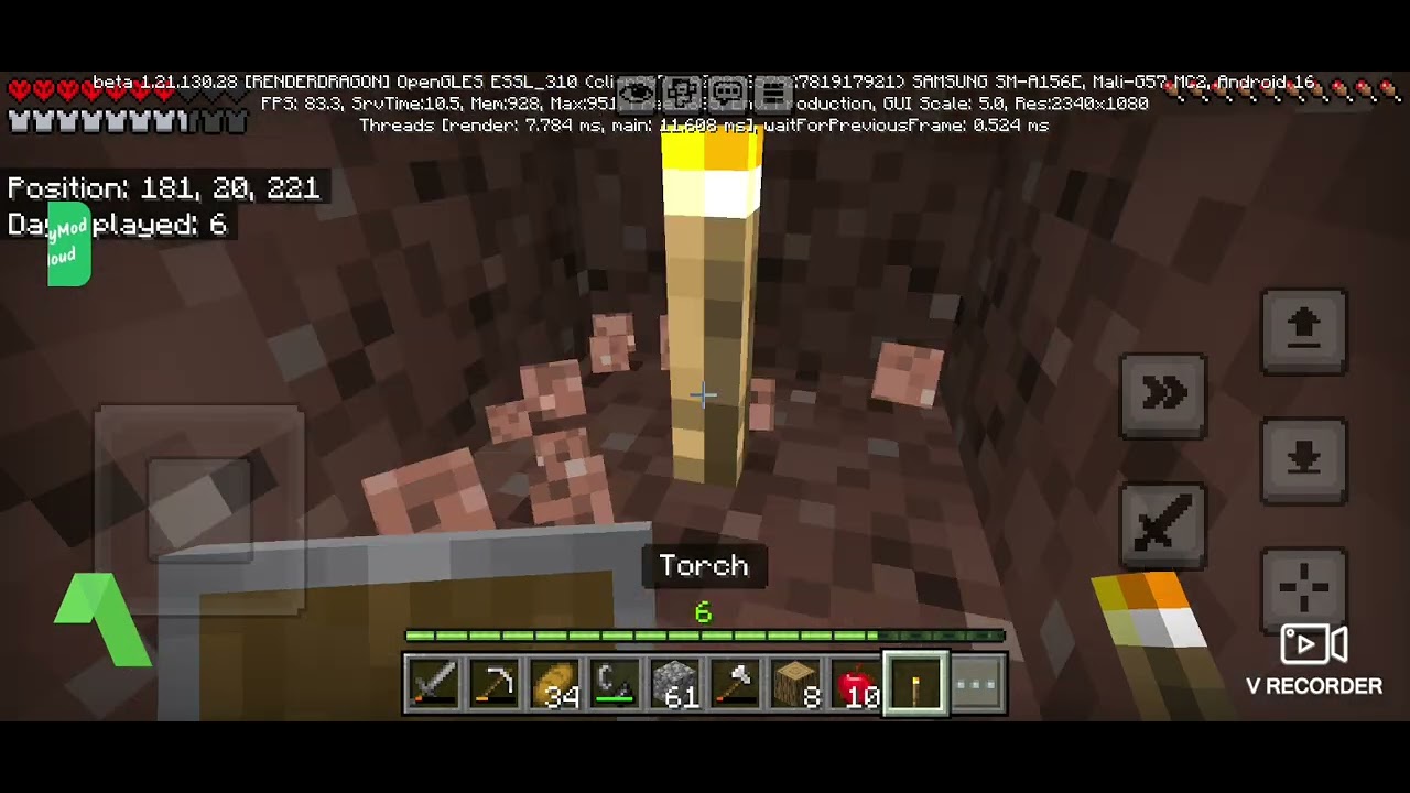 I lost my survival series world