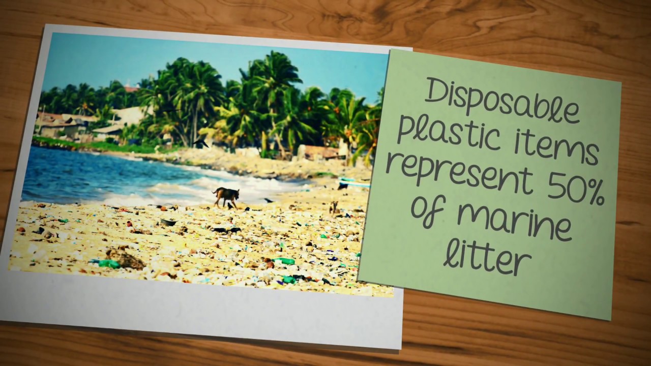 World Environment Day 2018 | Did you know? #BeatPlasticPollution | Onmanorama