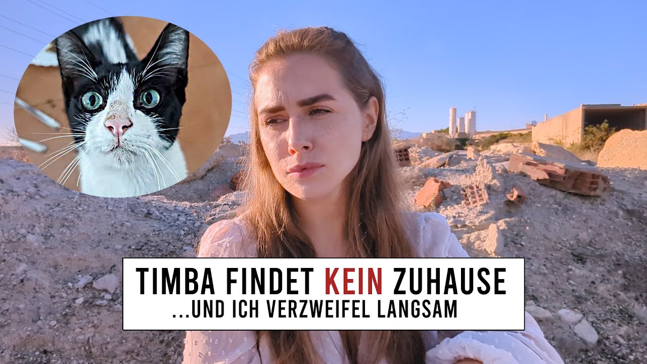 Ich muss eine schwere Entscheidung treffen