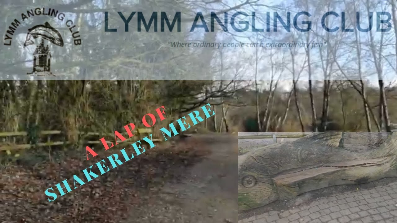 A Lap Of Shakerley Mere looking at swims : Lymm Anglers