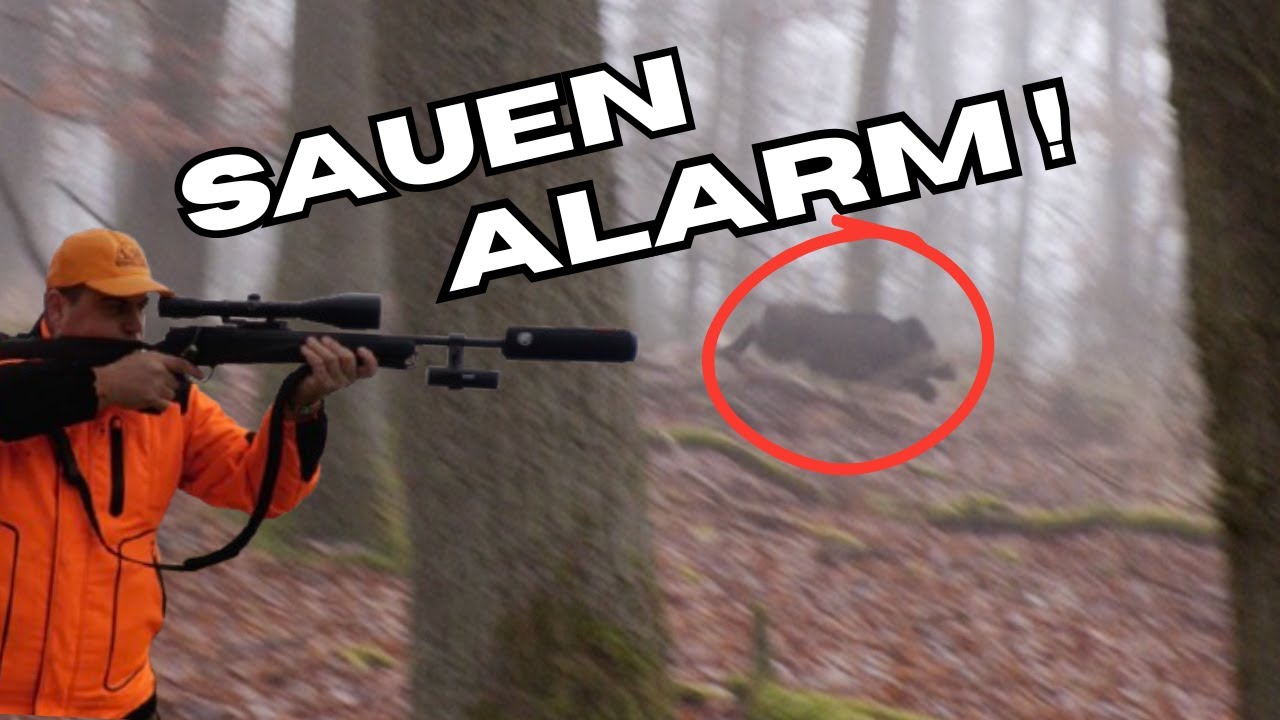 Sauenalarm! I Best of Drückjagdszenen 2025