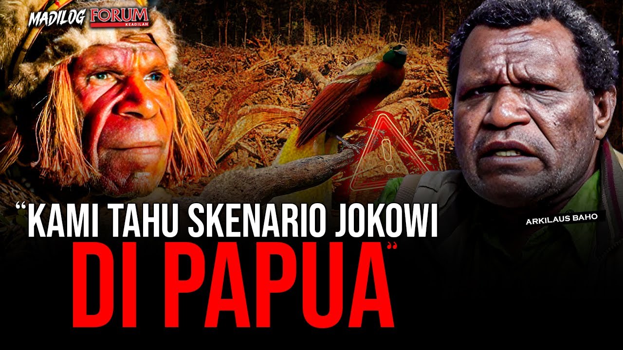 ARKILAUS BAHO: EMAS PEGUNUNGAN BINTANG PAPUA, UDANG DI BALIK BATU INFRASTRUKTUR JOKOWI