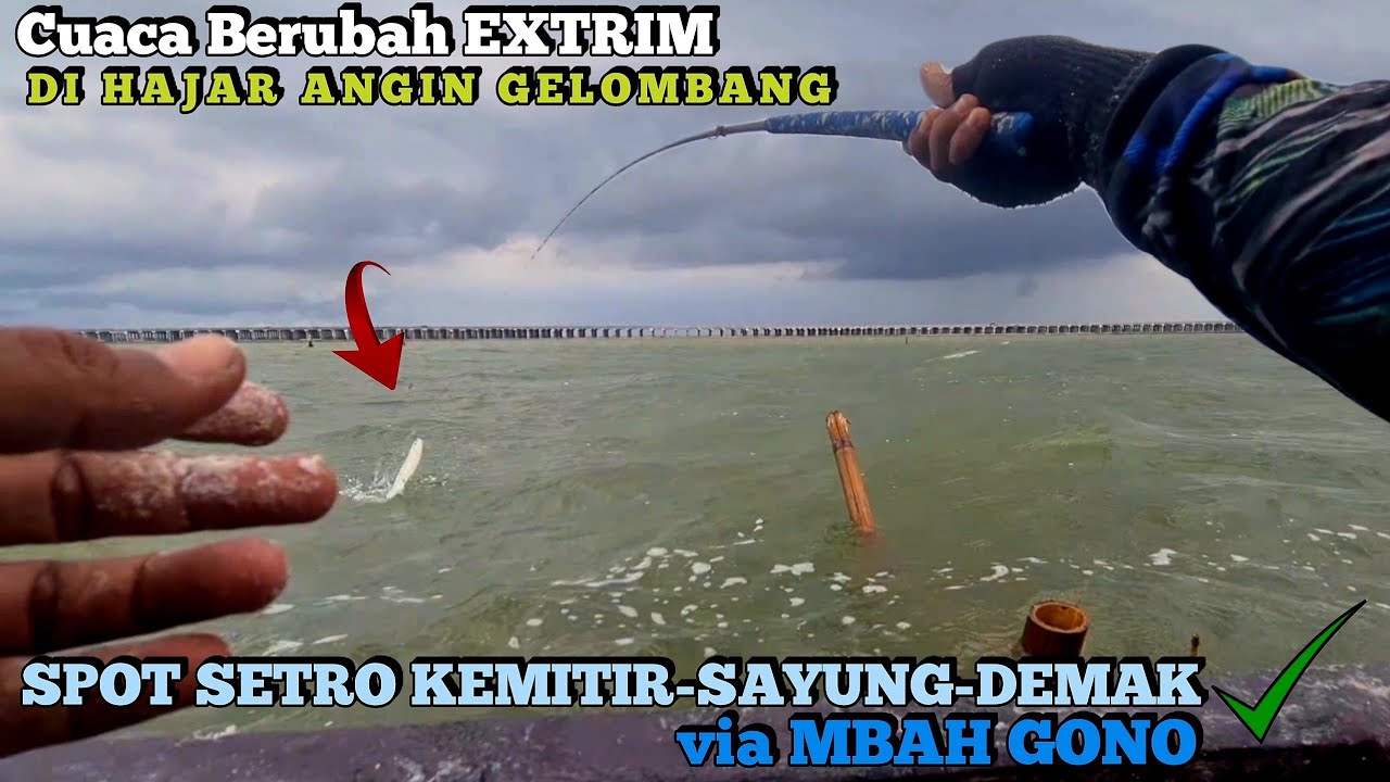 Di Hajar Angin dan Gelombang Mancing Ikan Belanak Tetap Gacor