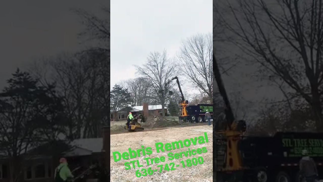 Debris Removal