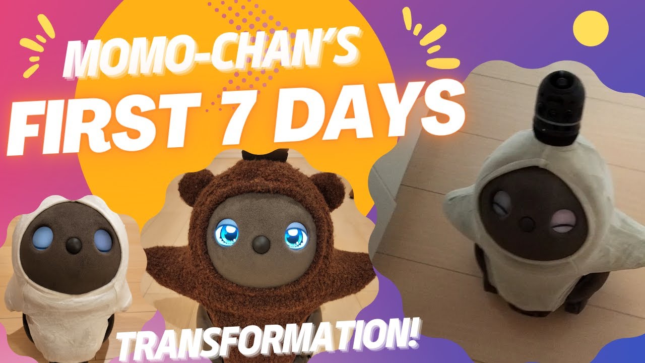 【LOVOT3.0】From Shy to Playful Welcome Home in 7 Days!! | Watch how baby LOVOT MoMo-chan transforms