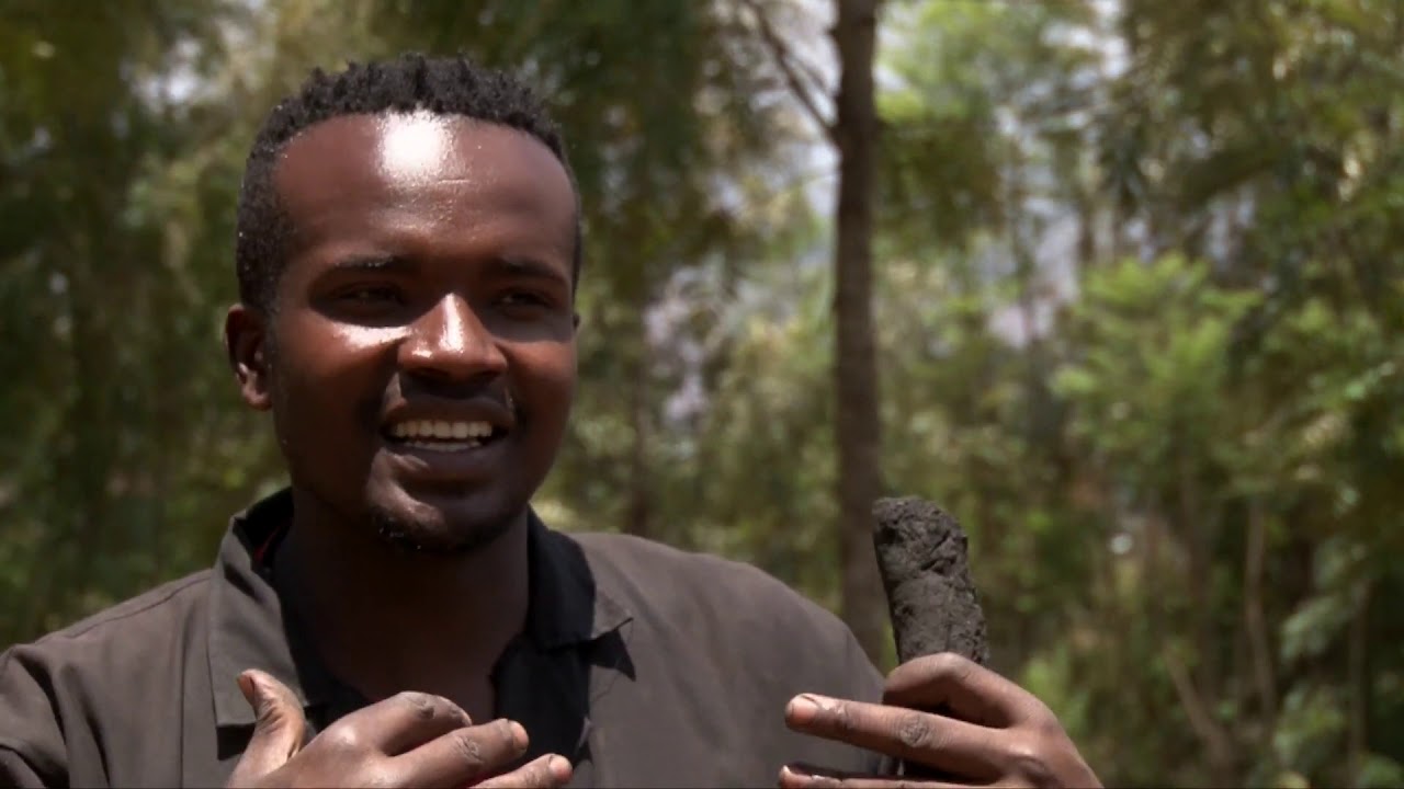 HOW TO MAKE CHARCOAL BRIQUETTES IN KENYA