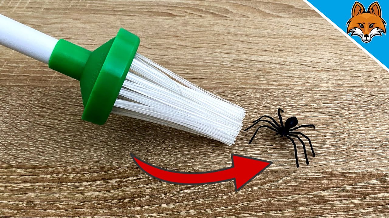 DAMIT sind Spinnen NIE WIEDER ein Problem für dich 💥