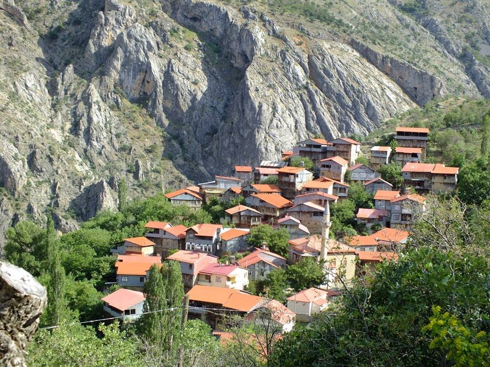 HUMA KUŞU AYSUN GÜLTEKİN