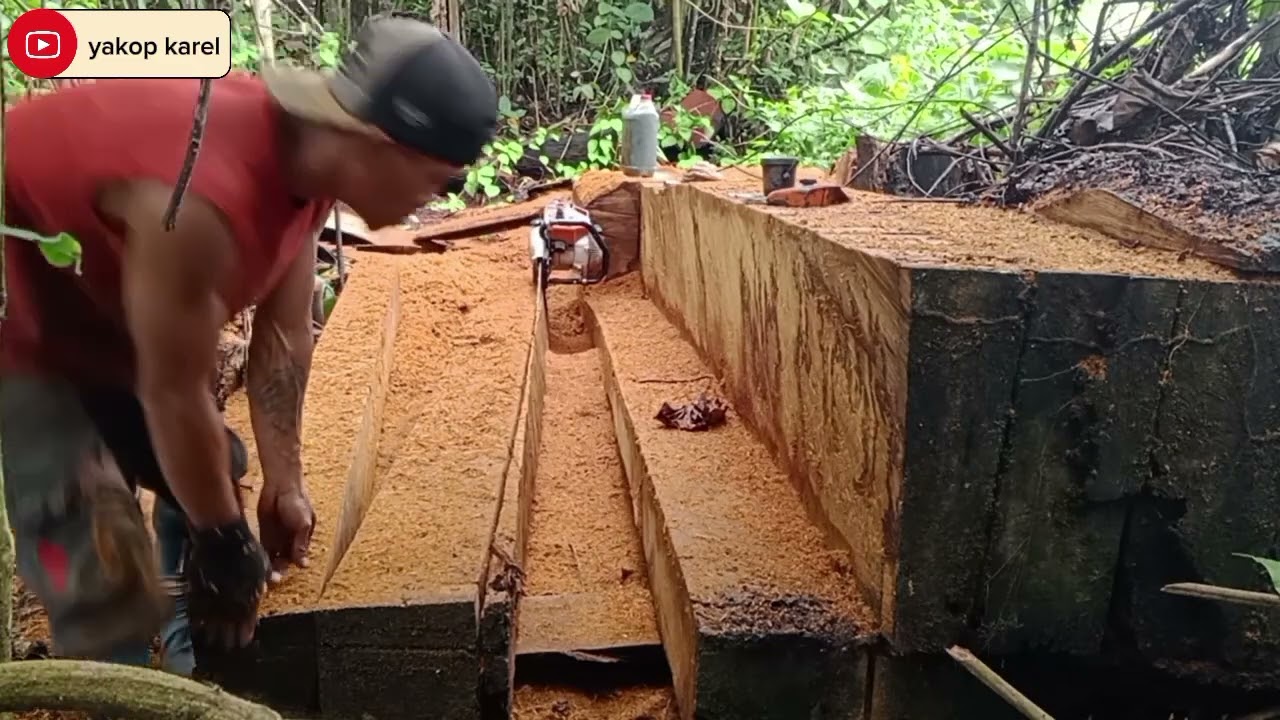 Produksi kayu marbau