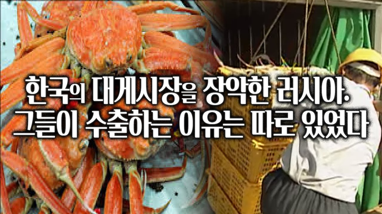 한국의 대게시장을 장악한 러시아. 그들이 대량의 대게를 한국으로 수출하는 이유는 따로 있었다./부산MBC 20021122방송