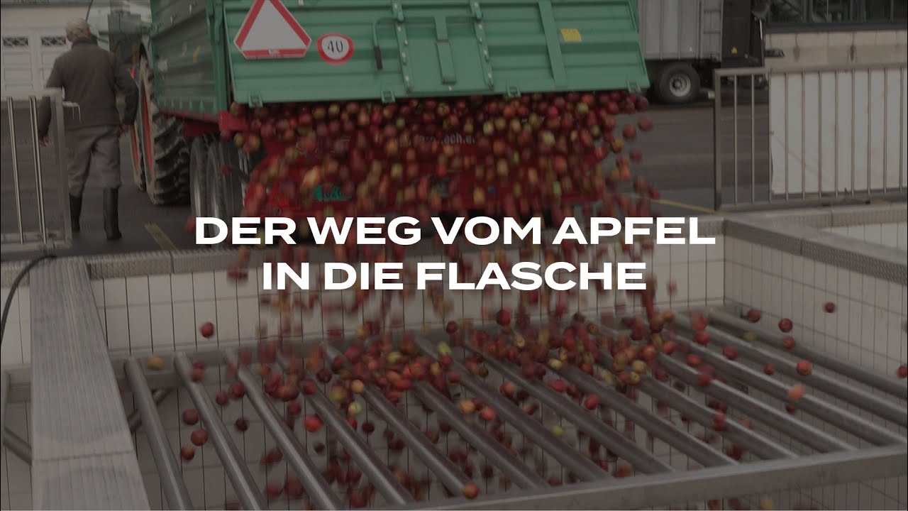 Hochbetrieb in der Mosterei Möhl – So kommt der Apfel in die Flasche