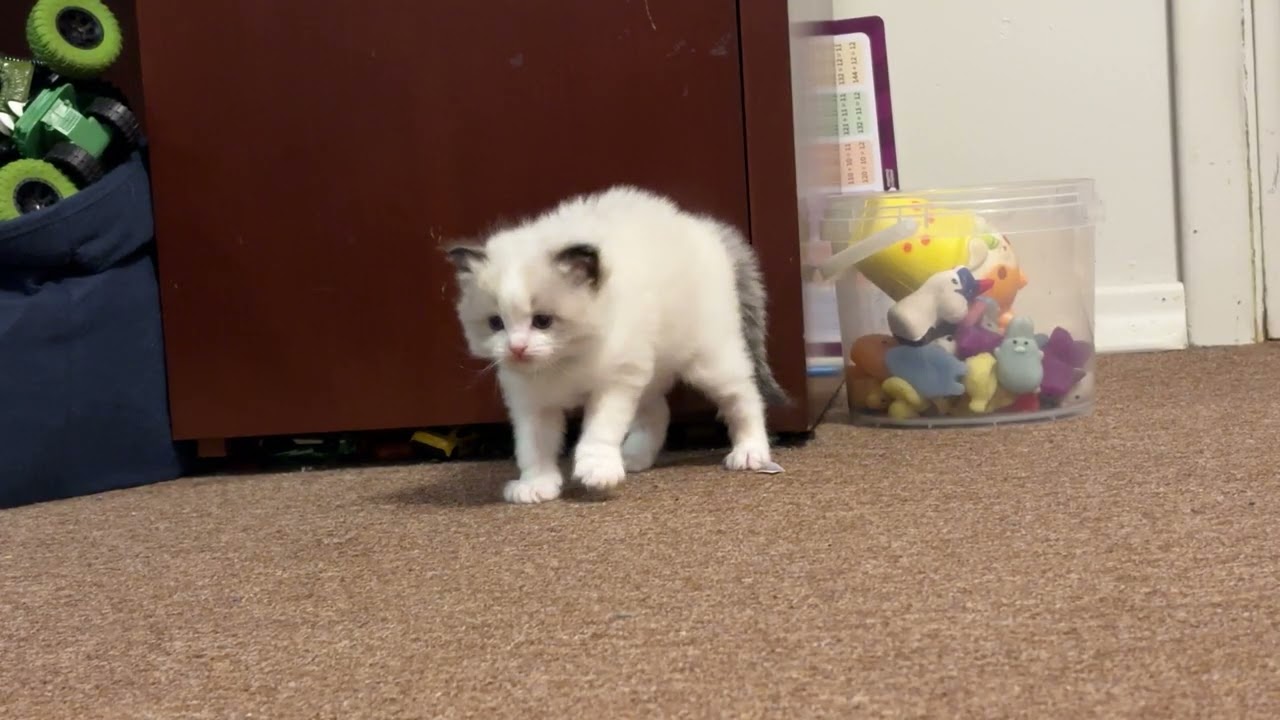 Cloud!