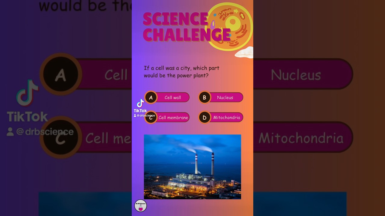 #sciencequiz #cells #biology  #drbscience
