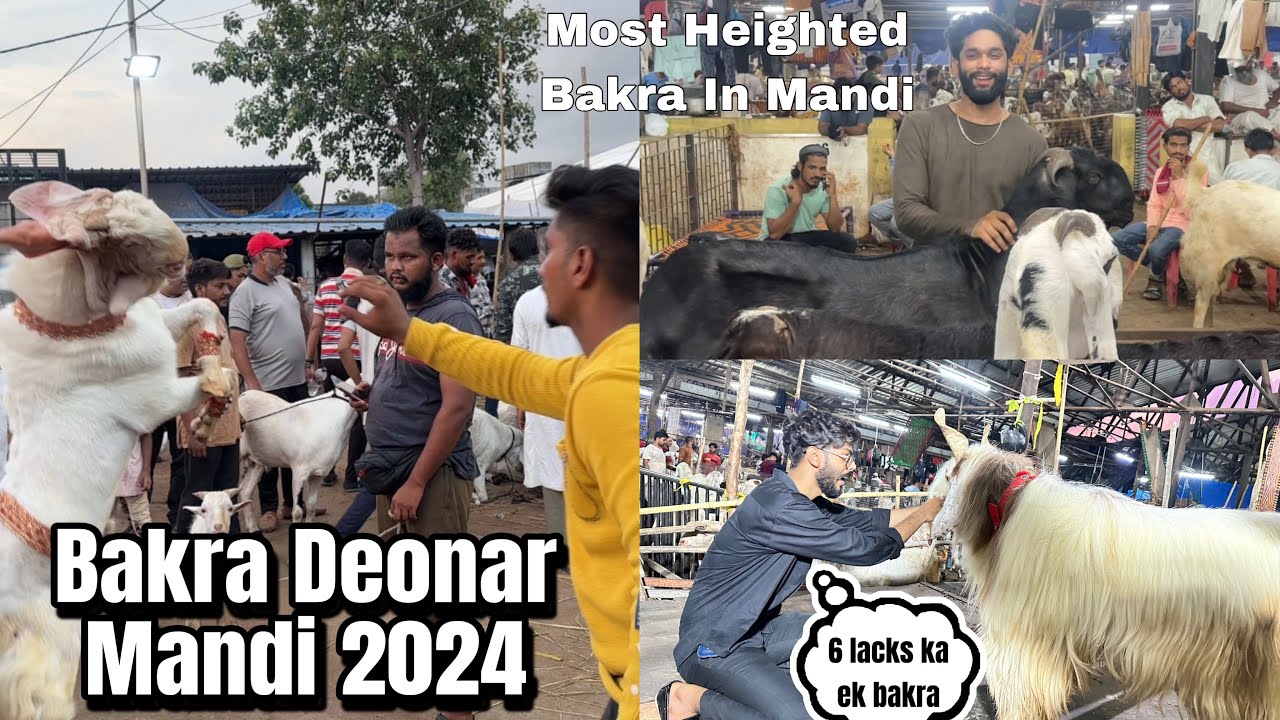 Bakra Deonar Mandi 2024😂Ek bakra 6 lacks ka | Zahid ko Hua Bakre se Pyaar😍 | AALTU FALTU |