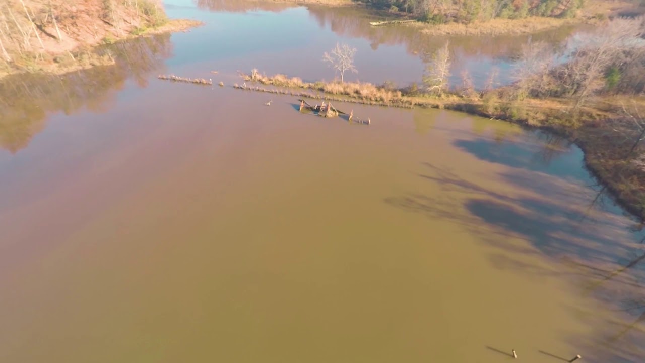 Drone: Mallows Bay, Maryland
