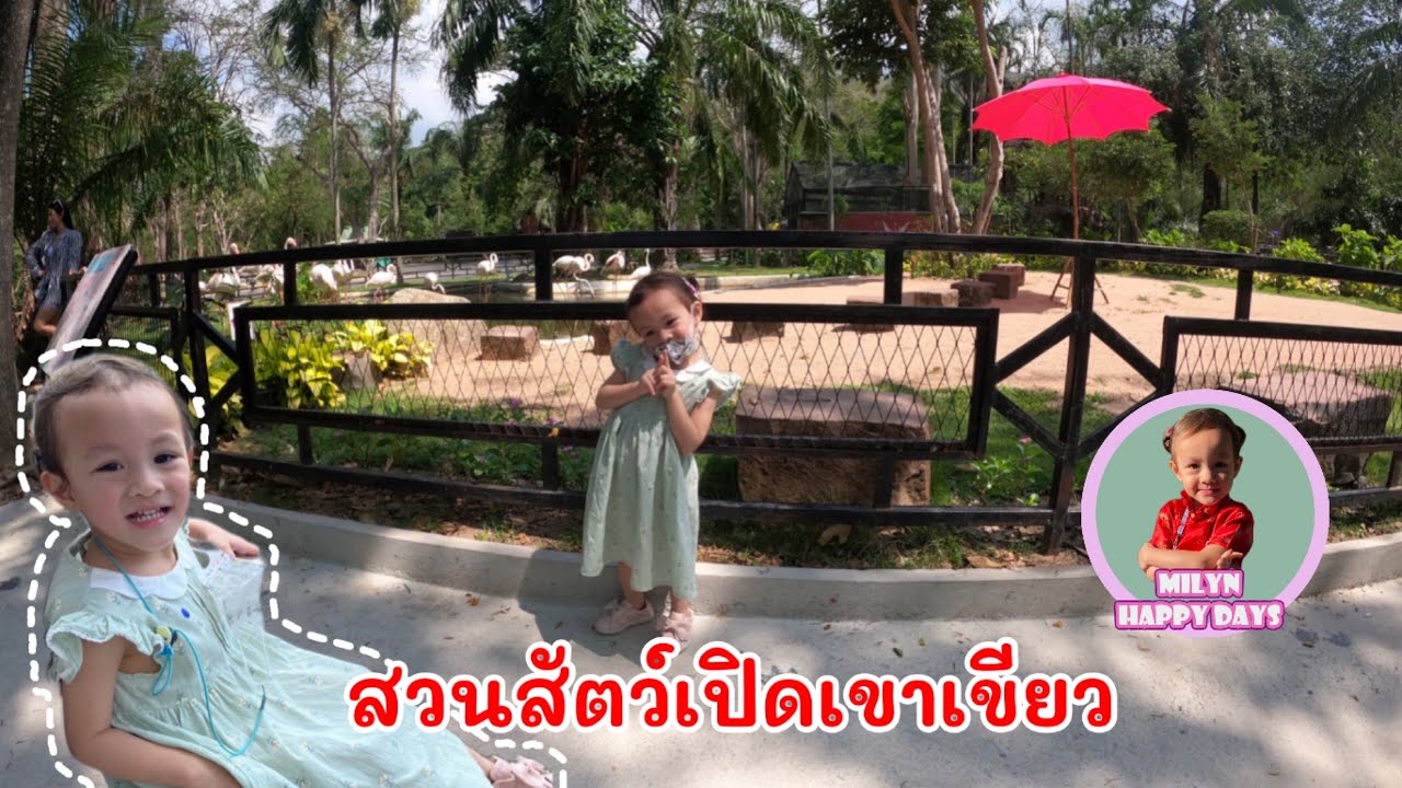 สวนสัตว์เปิดเขาเขียว | น้องมิลิน พาเที่ยว EP.1 | Milyn Happy Days