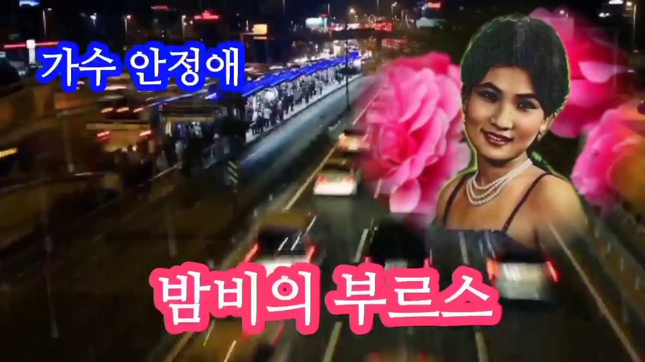 가수 안정애☆밤비의 부르스 (가사첨부)
