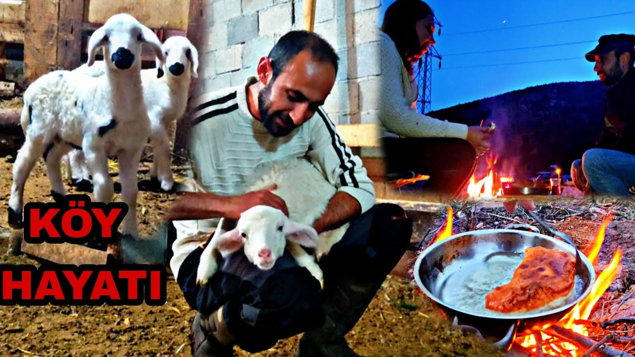 KÖY HAYATI~YORUCU KÖY İŞLERİ SONRASI PİKNİK~YAĞLI PİŞİ YAPTIK
