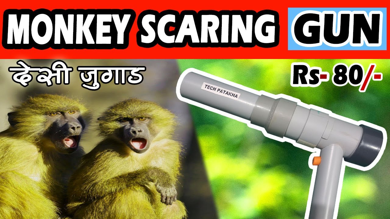 बन्दर भगाने का देसी तरीका | Monkey Scare Gun | Monkey Bhagane ka Tarika | Potato Gun