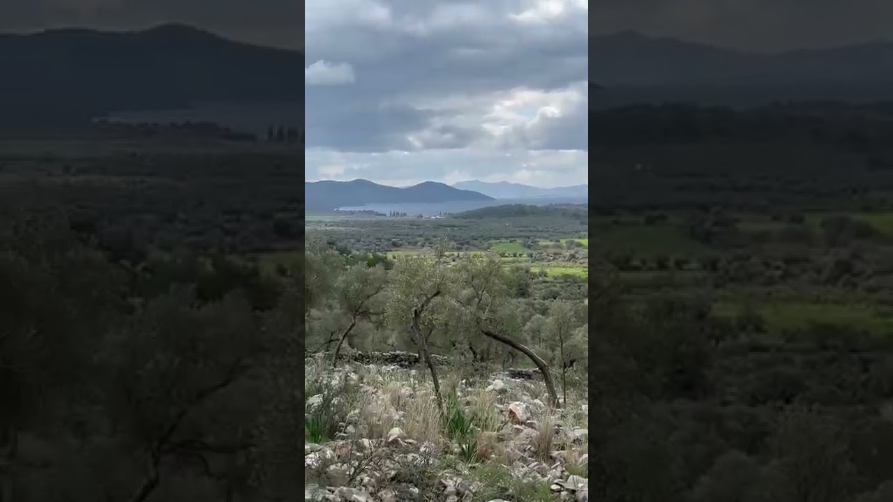 KELEPİR ARSA BU G&Uuml;N DETAYLAR YAYINDA‼️