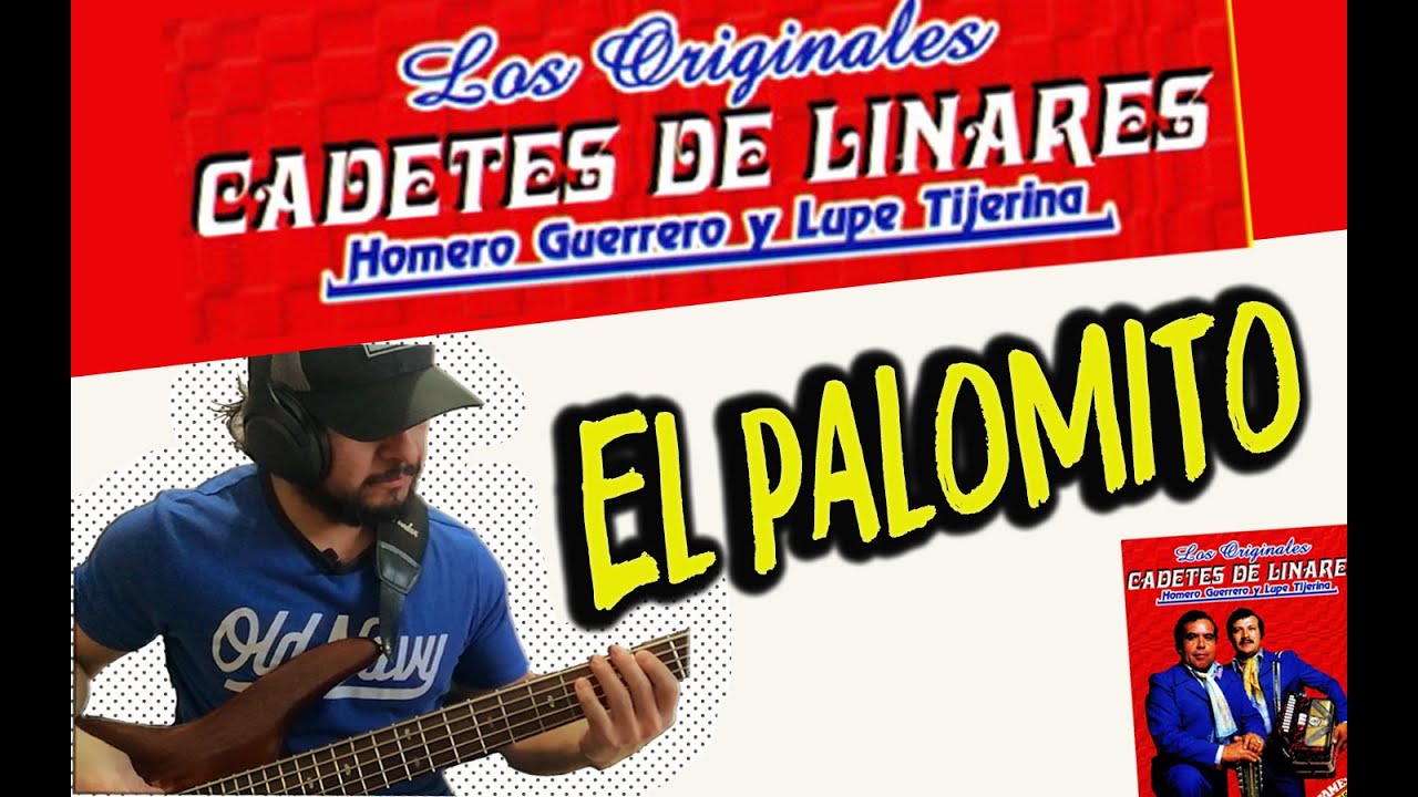 Como tocar || El Palomito || LOS CADETES DE LINATES ||