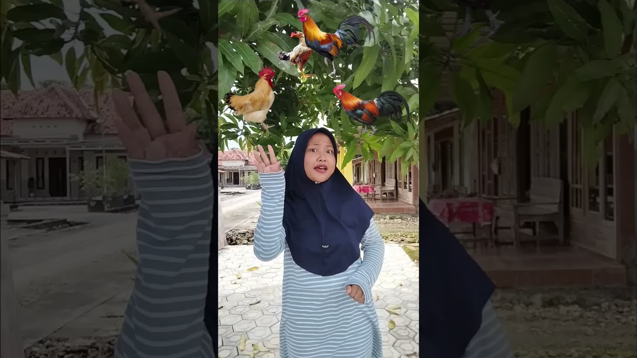Kakak Ayam 🐓🐓🐓