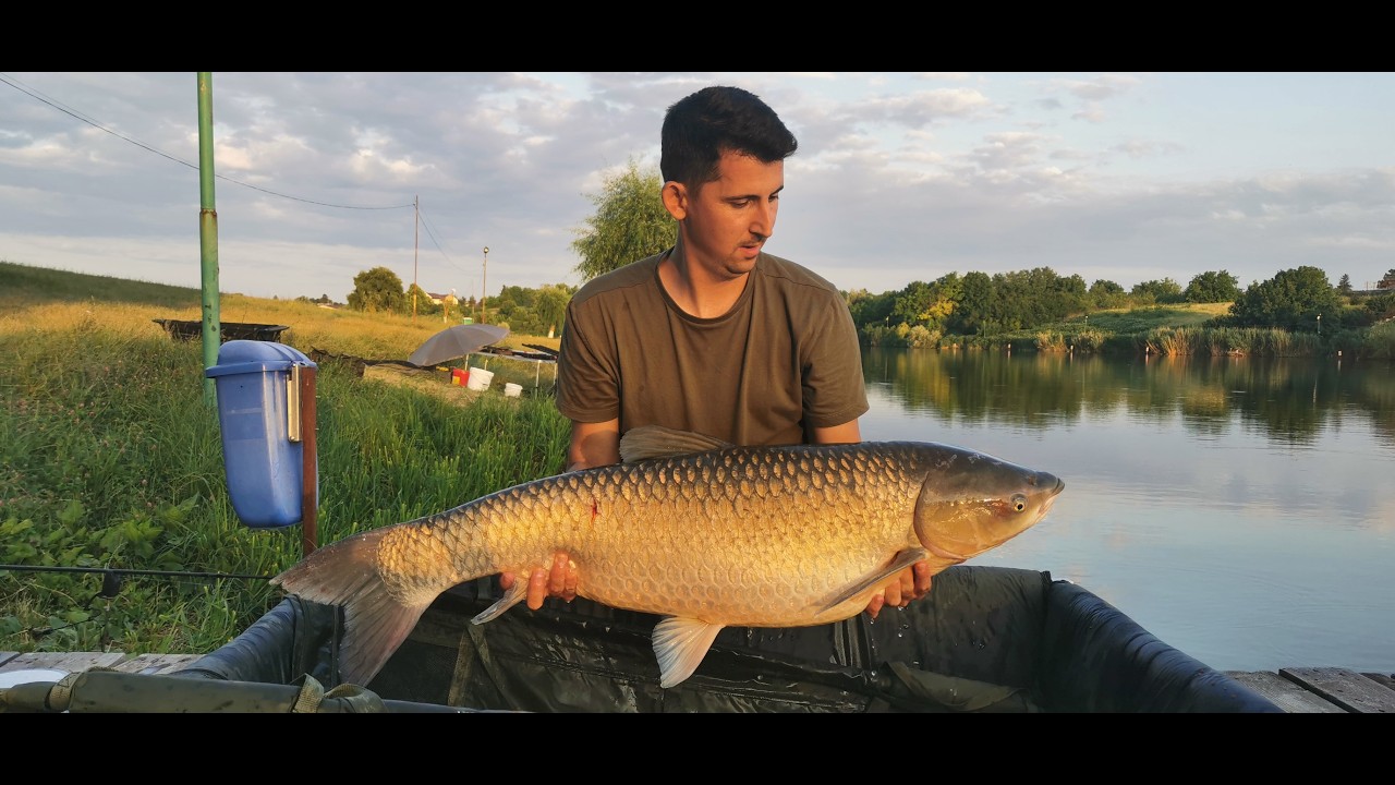 Pescuit la crap pe Moara Vlasiei, dril după dril si o surpriză, primul meu somn la boilies! 