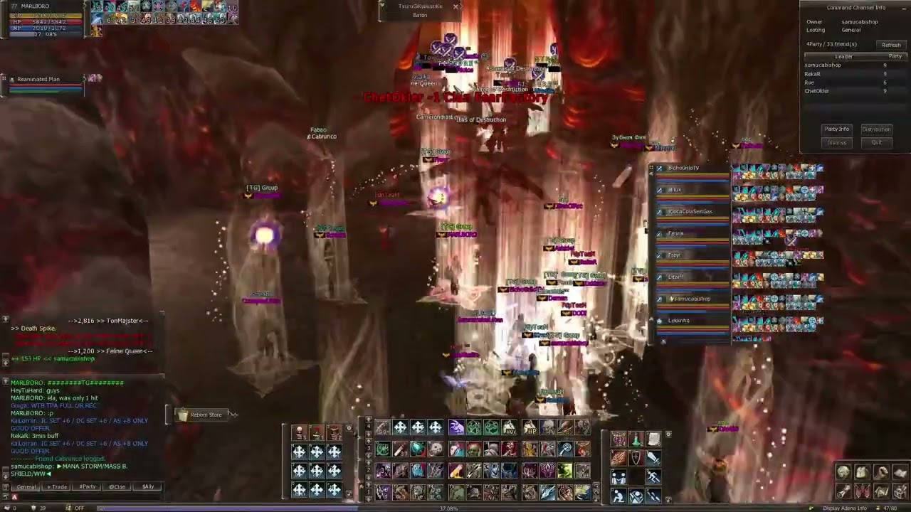 Lineage 2 Signature C5 1x / Baguncinha in Lower / This Is TG4ever
