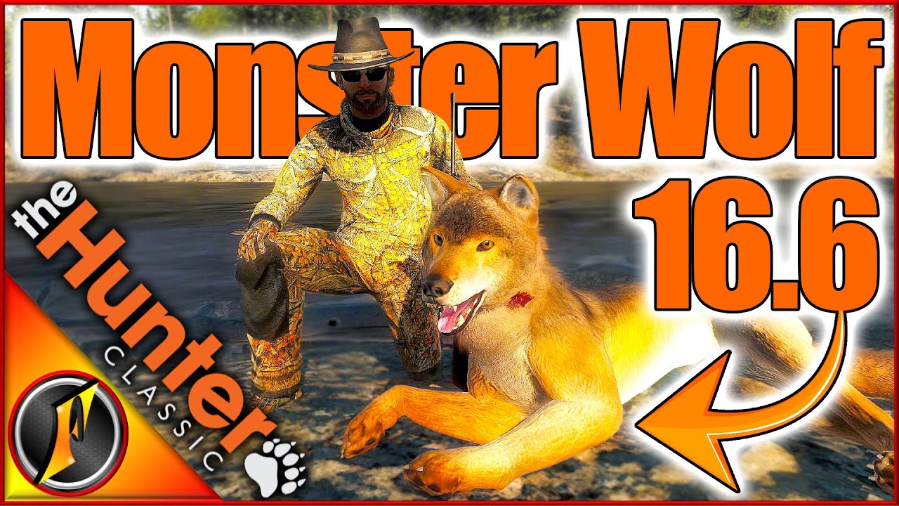 MONSTER Wolf on Timbergold Trails! + More for Our Lodge! | theHunter Classic