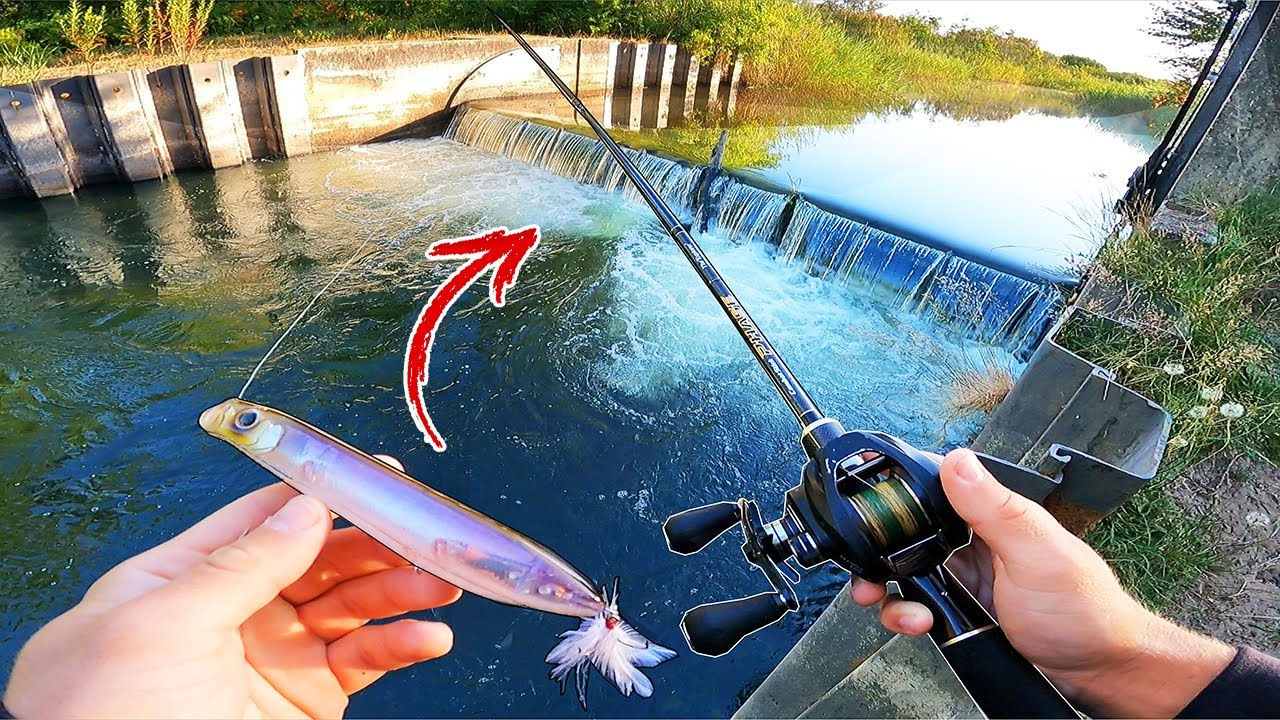 On accède à ce coin isolé, pour pêcher les plus gros poissons du canal !