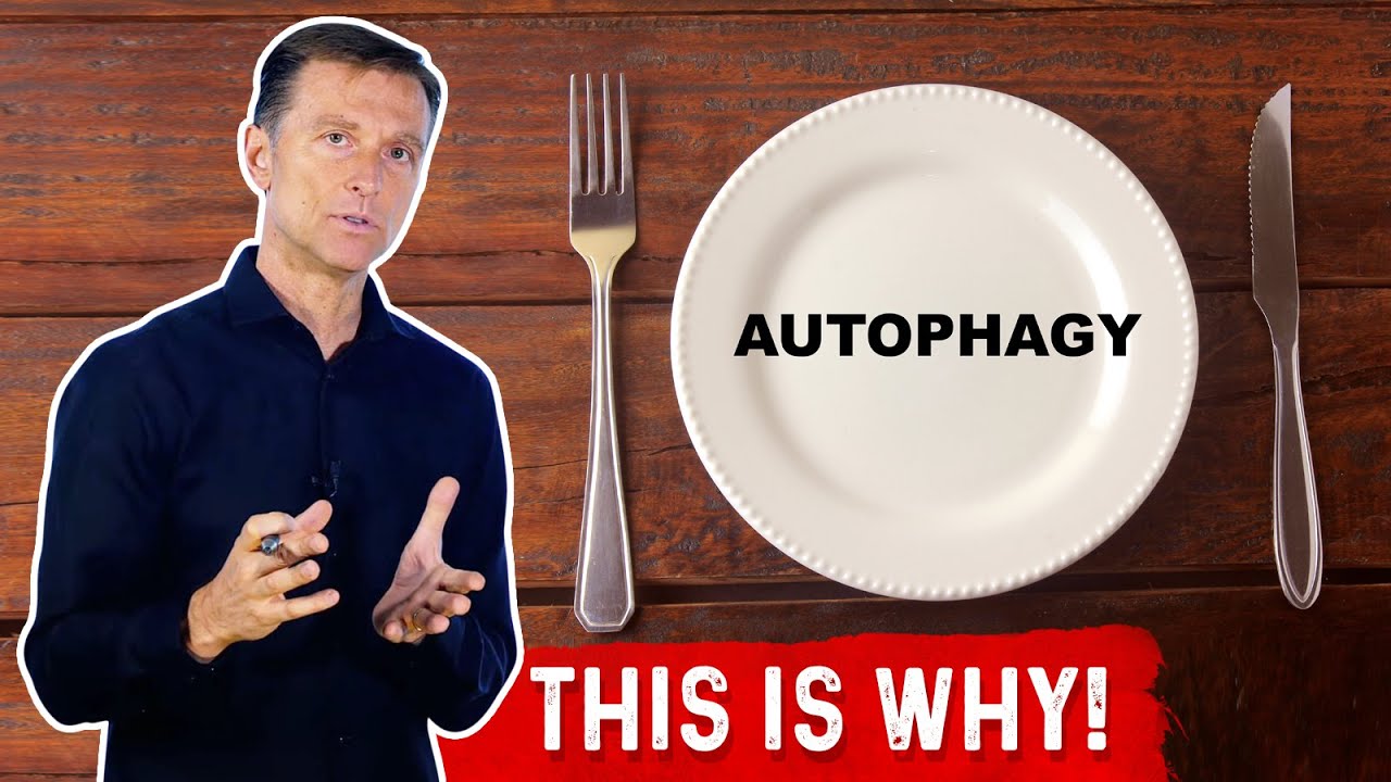 What Is Autophagy & The Real Reason Why It Exists &ndash; Dr.Berg