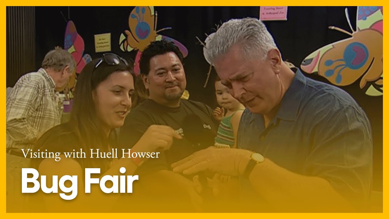 Bug Fair | Visiting with Huell Howser | PBS SoCal