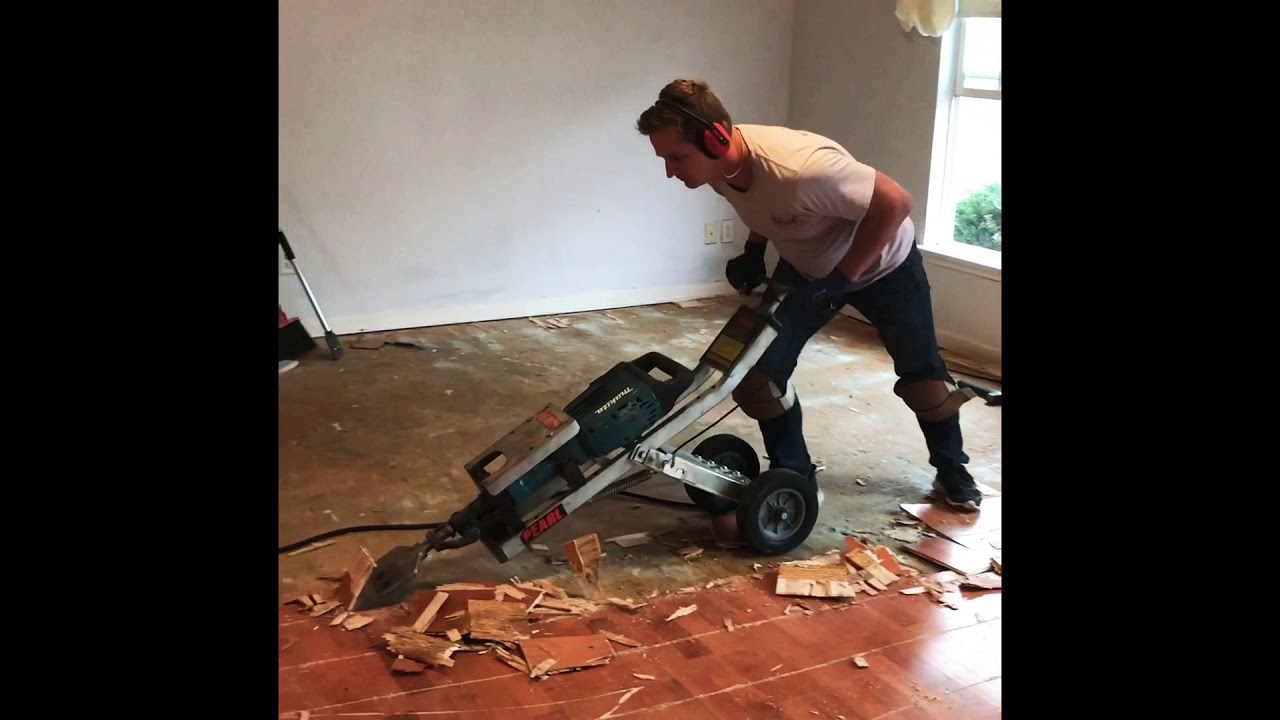 Glue down Hardwood removal