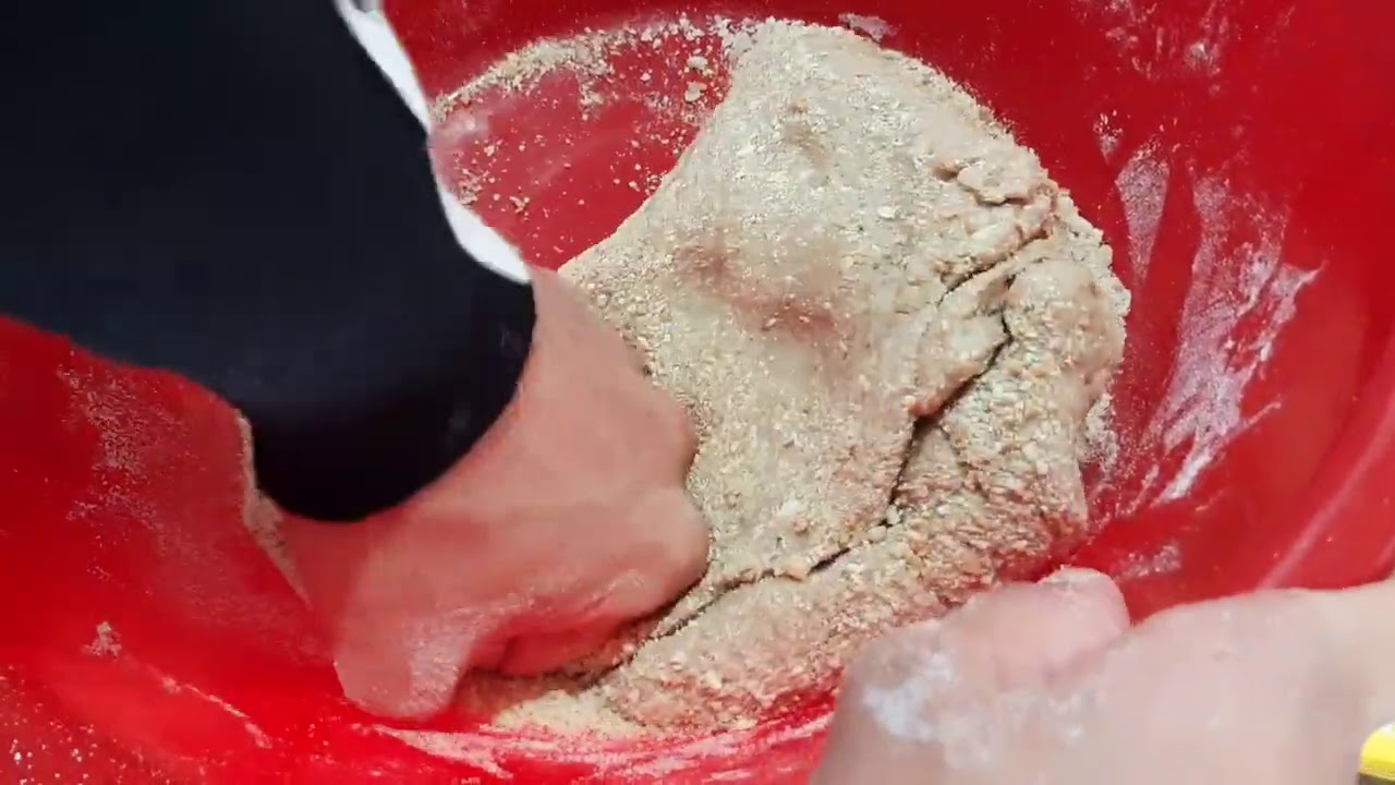 Massa de bolacha Maria com Atum e Sardinha para ( Tainhas )  ( Sargos )  (chicharro) ou (Carapau)