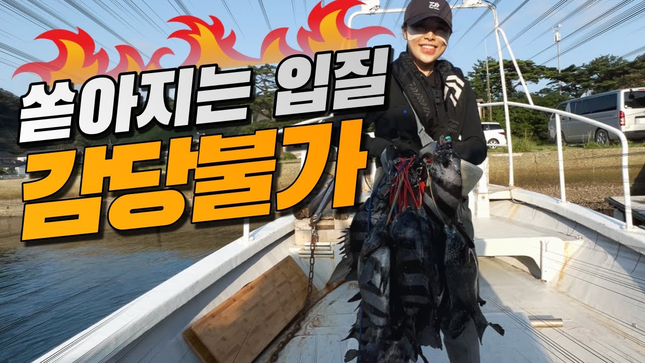 ★폭풍입질 레전드★쉴 틈 없이 몰아치는 돌돔!!!(대마도 돌돔낚시)