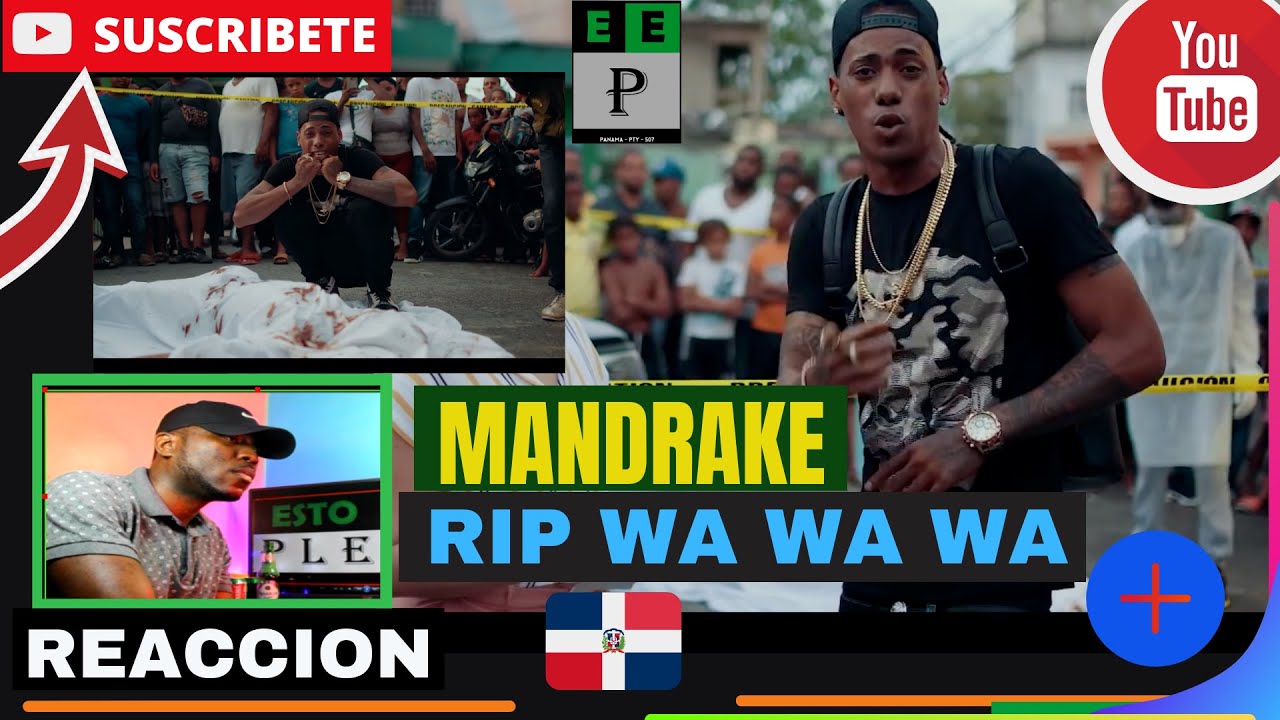 |PANAMEÑO REACCIONA|  Mandrake El Malocorita - Rip Wa Wa Wa #RapDominicano #Tiradera