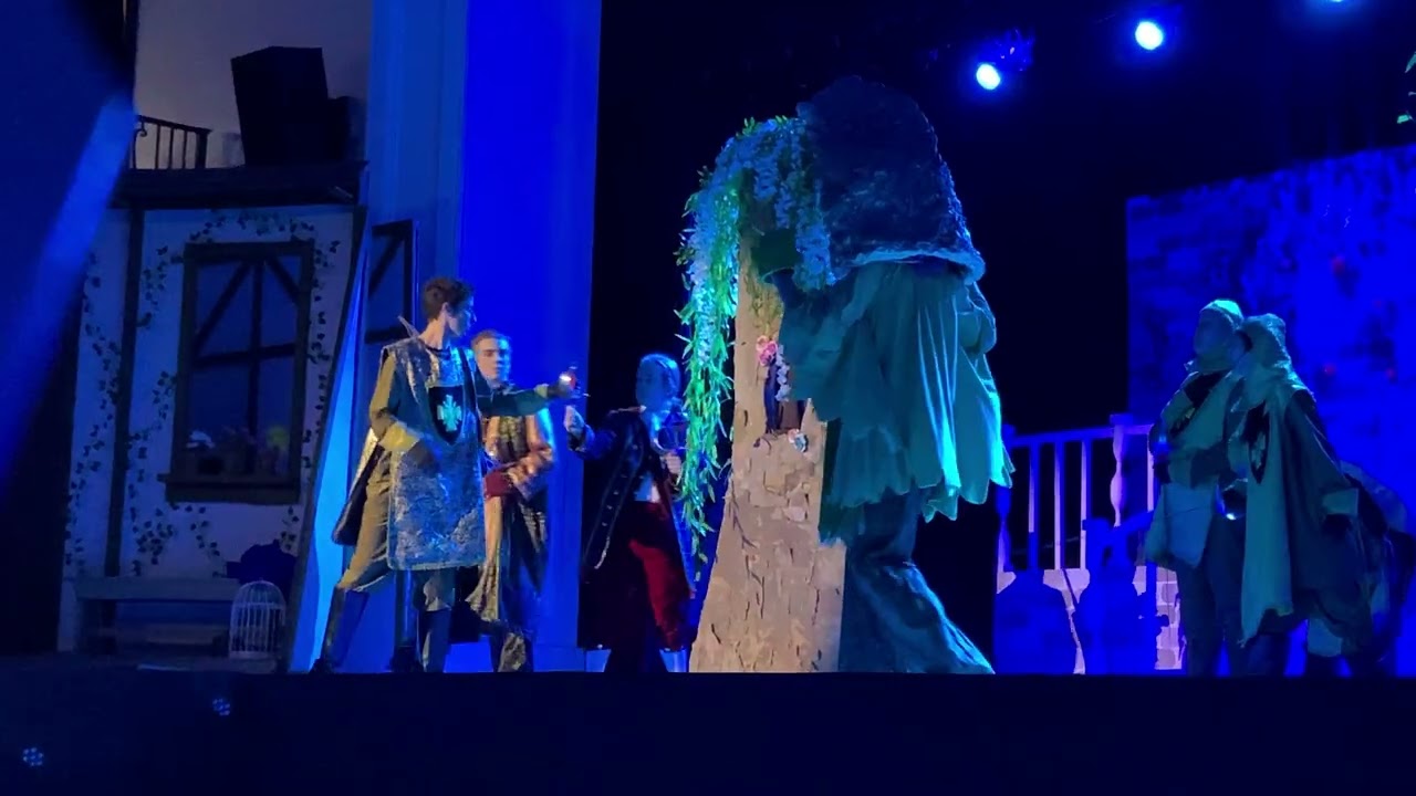 Albany Academy Cinderella 